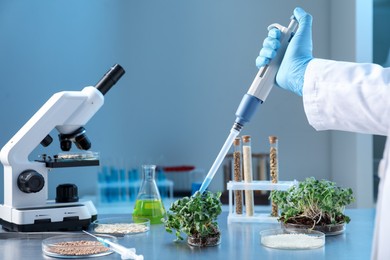 Photo of GMO concept. Scientist injecting liquid into microgreens at table in laboratory, closeup