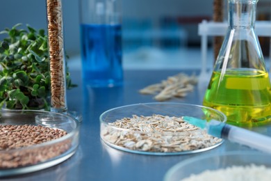 Photo of GMO concept. Different raw grains in Petri dishes, microgreens, syringe and other equipment on table in laboratory, closeup