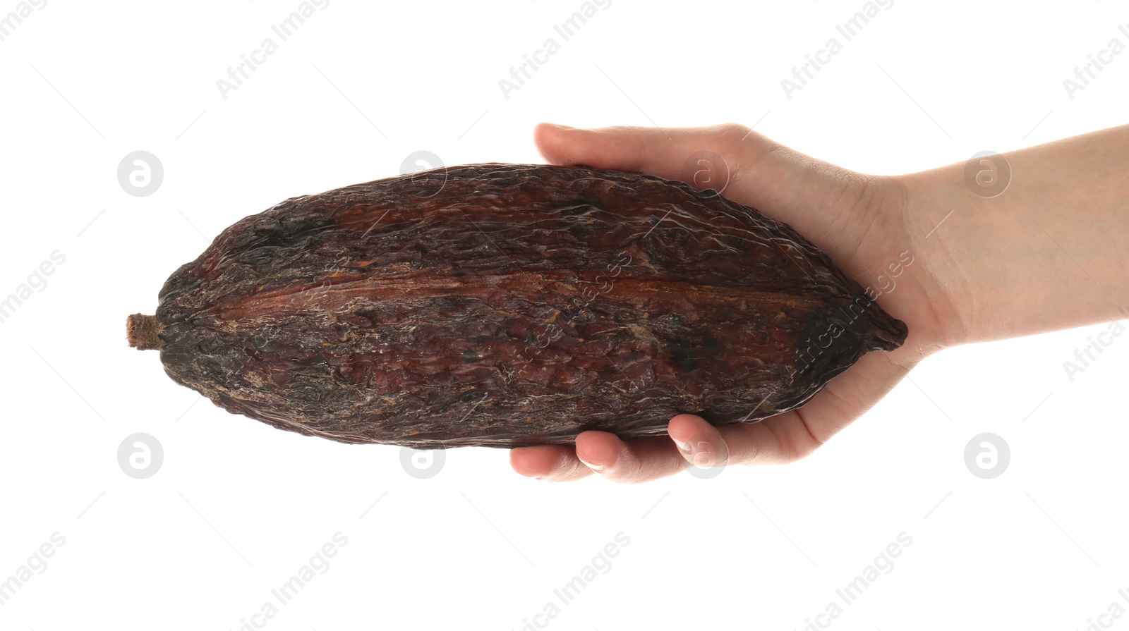 Photo of Woman with cocoa pod on white background, closeup