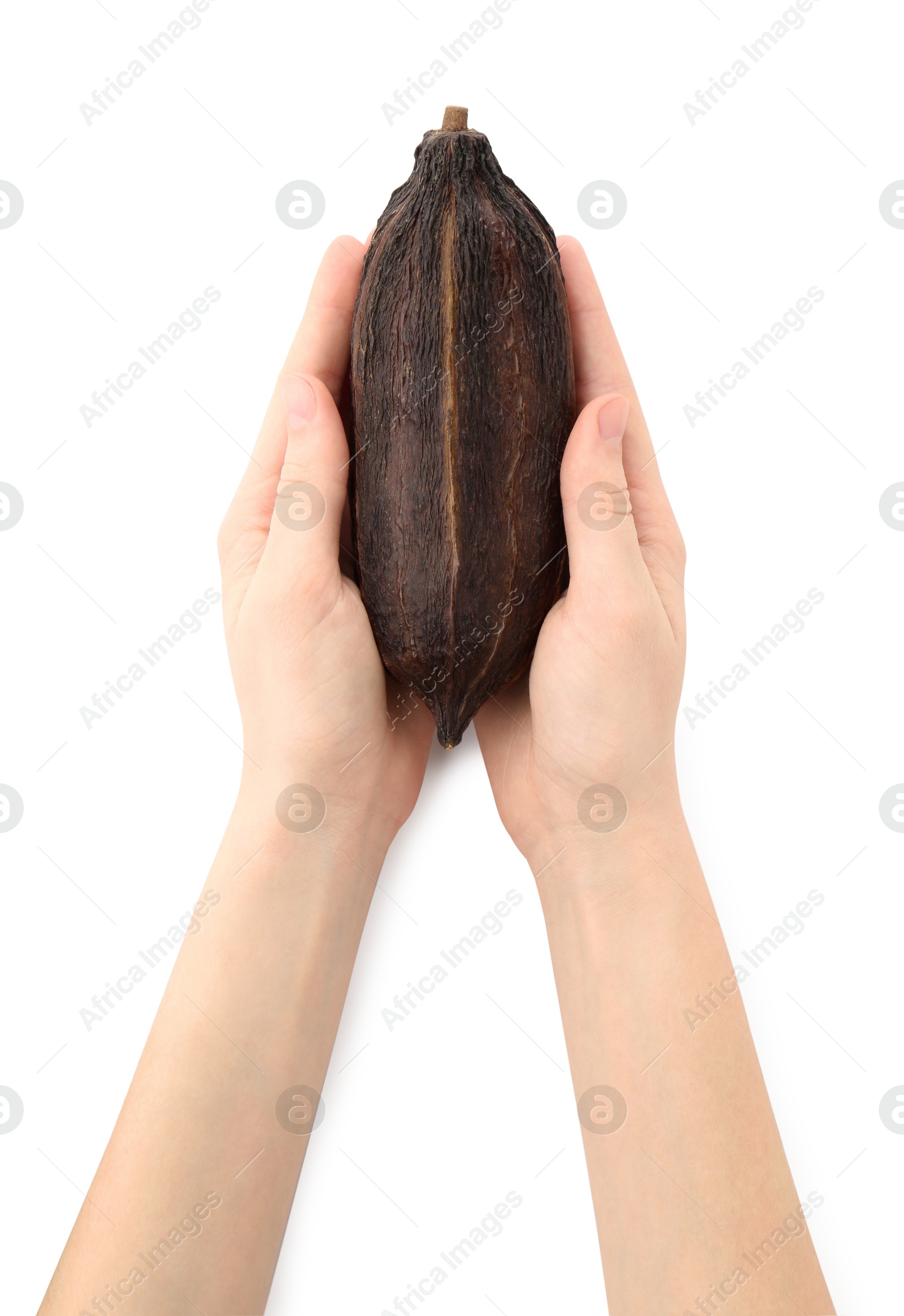 Woman with cocoa pod on white background, top view Photo of Woman with cocoa pod on white background, top view