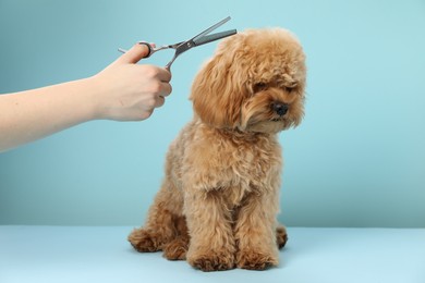 Photo of Groomer cutting cute dog's hair on light blue background, closeup