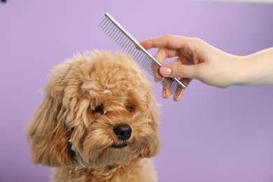 Photo of Groomer combing cute dog's hair on violet background, closeup