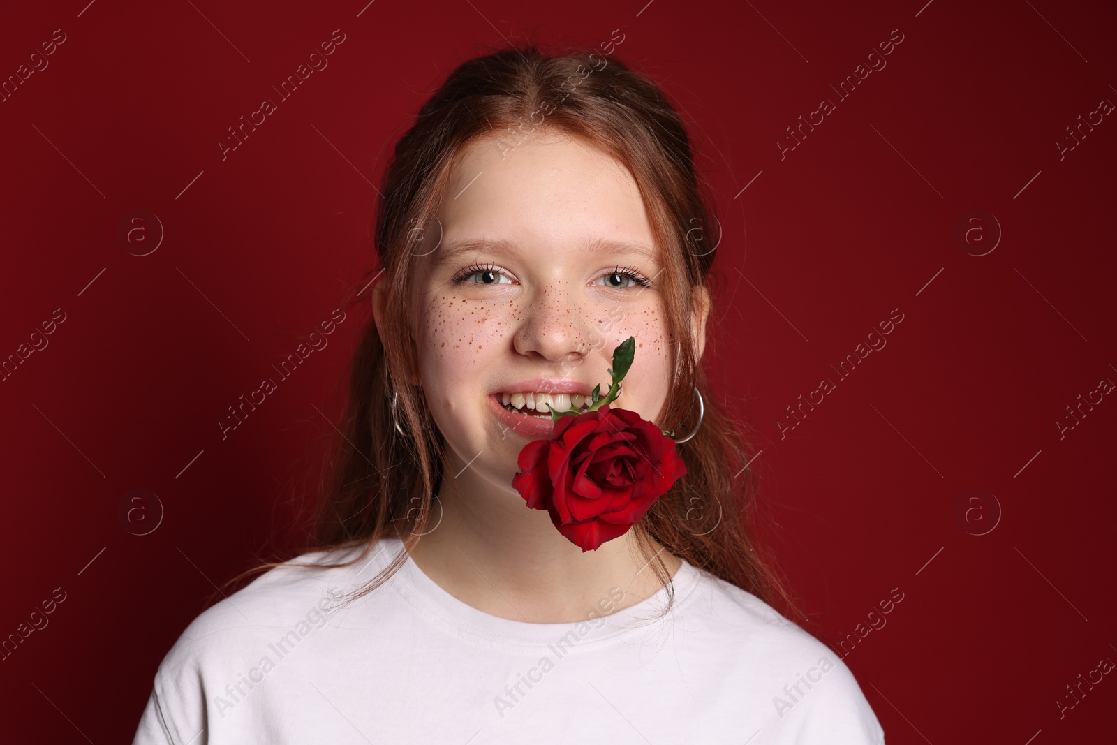 Photo of Beautiful freckled teenage girl with rose on red background