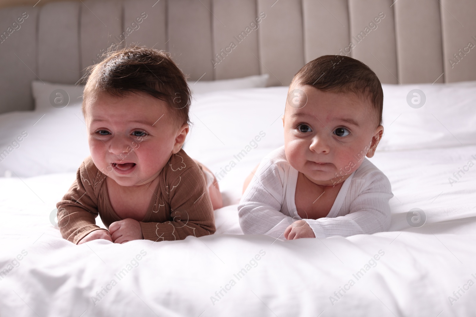 Photo of Cute twin babies resting on bed indoors