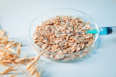 Photo of GMO concept. Petri dish with oat grains, florets and syringe on white table, closeup