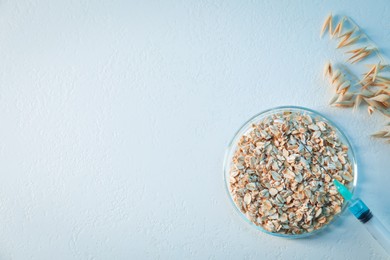 Photo of GMO concept. Petri dish with oat grains, florets and syringe on white table, top view. Space for text