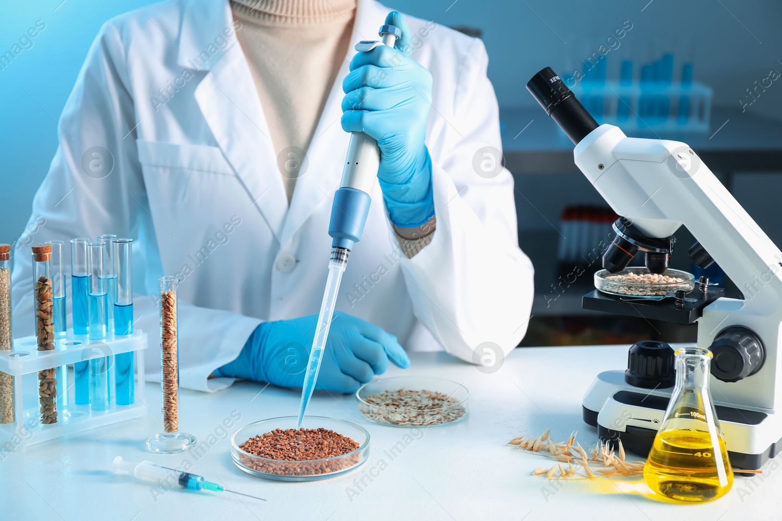 Photo of GMO concept. Scientist dripping something onto buckwheat grains at white table in laboratory, closeup