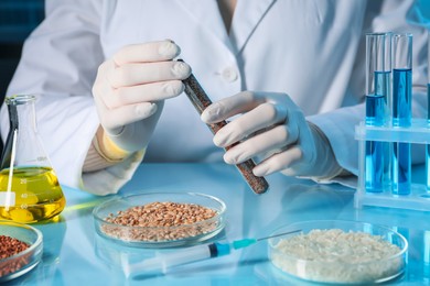 Photo of GMO concept. Scientist holding test tube with cereal grains at table in laboratory, closeup