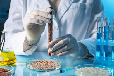 Photo of GMO concept. Scientist holding test tube with cereal grains at table in laboratory, closeup