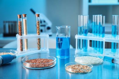 Photo of GMO concept. Petri dishes with cereal grains, syringe and laboratory glassware on table indoors