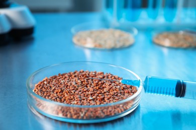 Photo of GMO concept. Petri dish with buckwheat grains and syringe on table, closeup