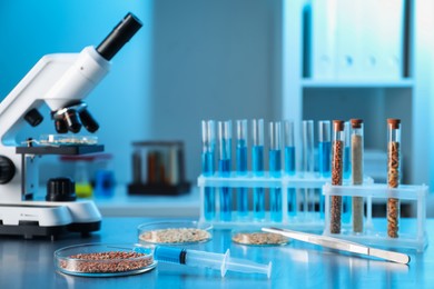 Photo of GMO concept. Different cereal grains, syringe, tweezers and microscope on table in laboratory