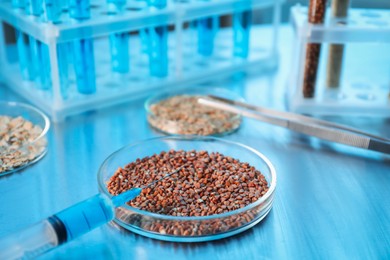 Photo of GMO concept. Petri dish with buckwheat grains and syringe on table, closeup