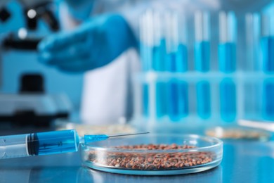 Photo of GMO concept. Scientist using microscope in laboratory, focus on petri dish with buckwheat grains and syringe