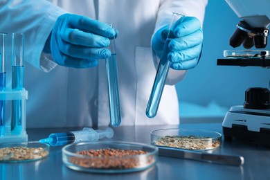 Photo of GMO concept. Scientist holding test tubes of liquid at table with different cereal grains in laboratory, closeup