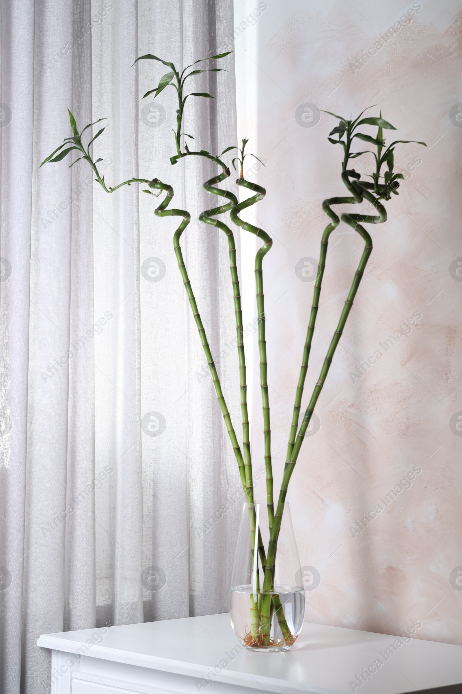 Photo of Beautiful green bamboo stems in vase on table indoors