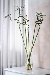 Photo of Beautiful green bamboo stems in vase on table indoors