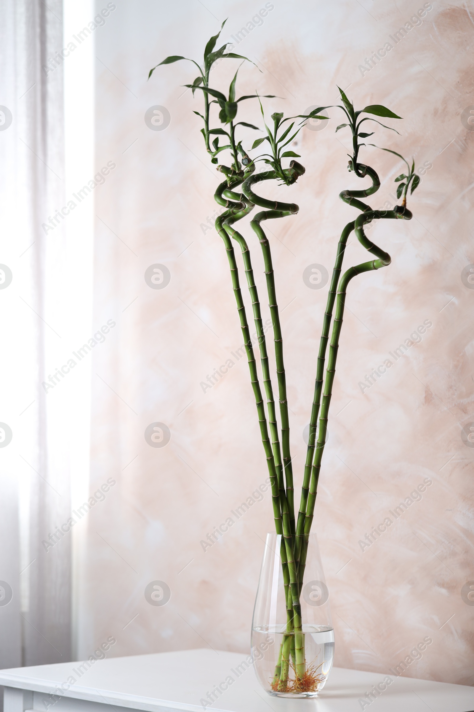 Photo of Beautiful green bamboo stems in vase on table indoors