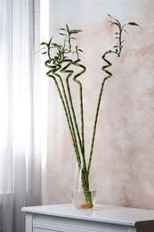 Photo of Beautiful green bamboo stems in vase on table indoors