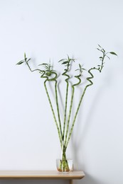 Photo of Beautiful green bamboo stems in vase on table near light wall