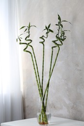 Photo of Beautiful green bamboo stems in vase on table indoors