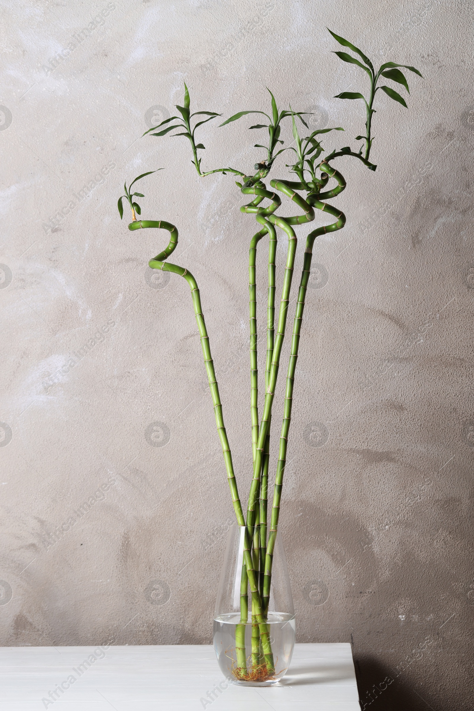 Photo of Beautiful green bamboo stems in vase on table indoors