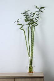 Photo of Beautiful green bamboo stems in vase on table near light wall