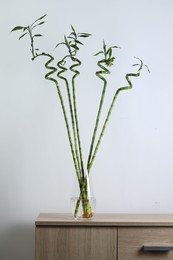 Photo of Beautiful green bamboo stems in vase on chest of drawers near light wall