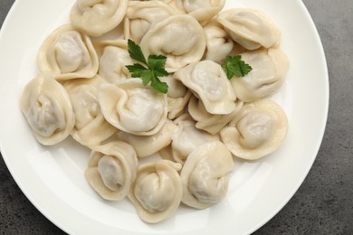 Photo of Delicious dumplings with fresh parsley on grey table, top view