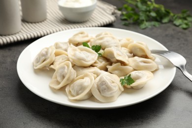 Photo of Delicious dumplings with fresh parsley served on grey table, closeup