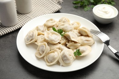 Photo of Delicious dumplings with fresh parsley served on grey table, closeup