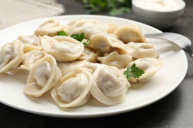 Photo of Delicious dumplings with fresh parsley served on grey table, closeup