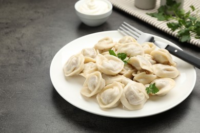 Photo of Delicious dumplings with fresh parsley served on grey table, closeup