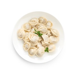 Photo of Delicious dumplings with fresh parsley isolated on white, top view