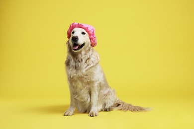 Photo of Cute funny dog in pink shower cap on yellow background