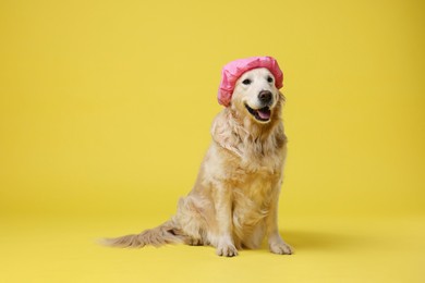 Photo of Cute funny dog in pink shower cap on yellow background