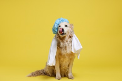 Photo of Cute funny dog with shower cap and towel on yellow background