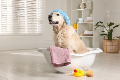 Photo of Cute dog with shower cap in small bathtub and bath accessories at home