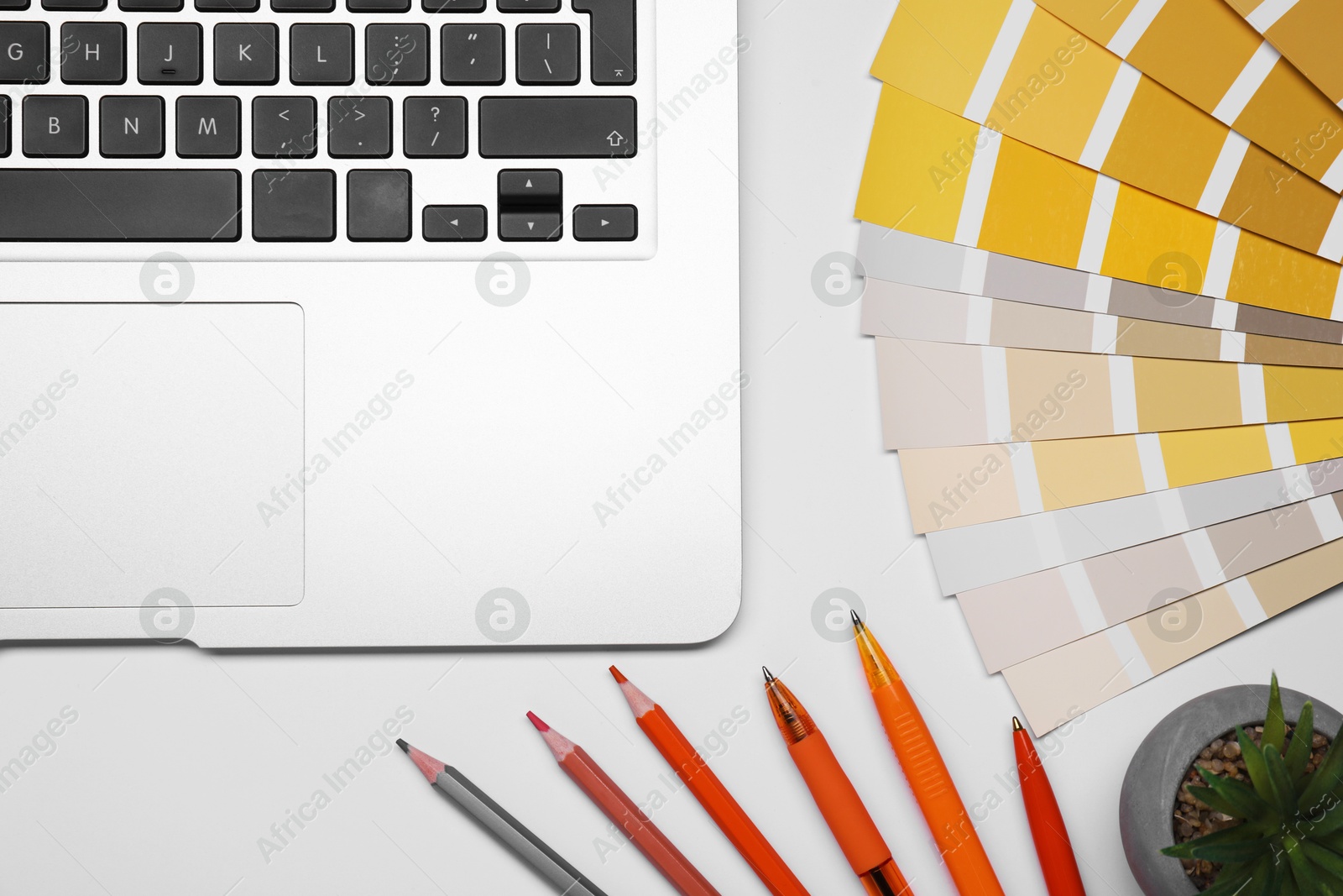 Photo of Designer's workplace with laptop and stationery on light background, flat lay