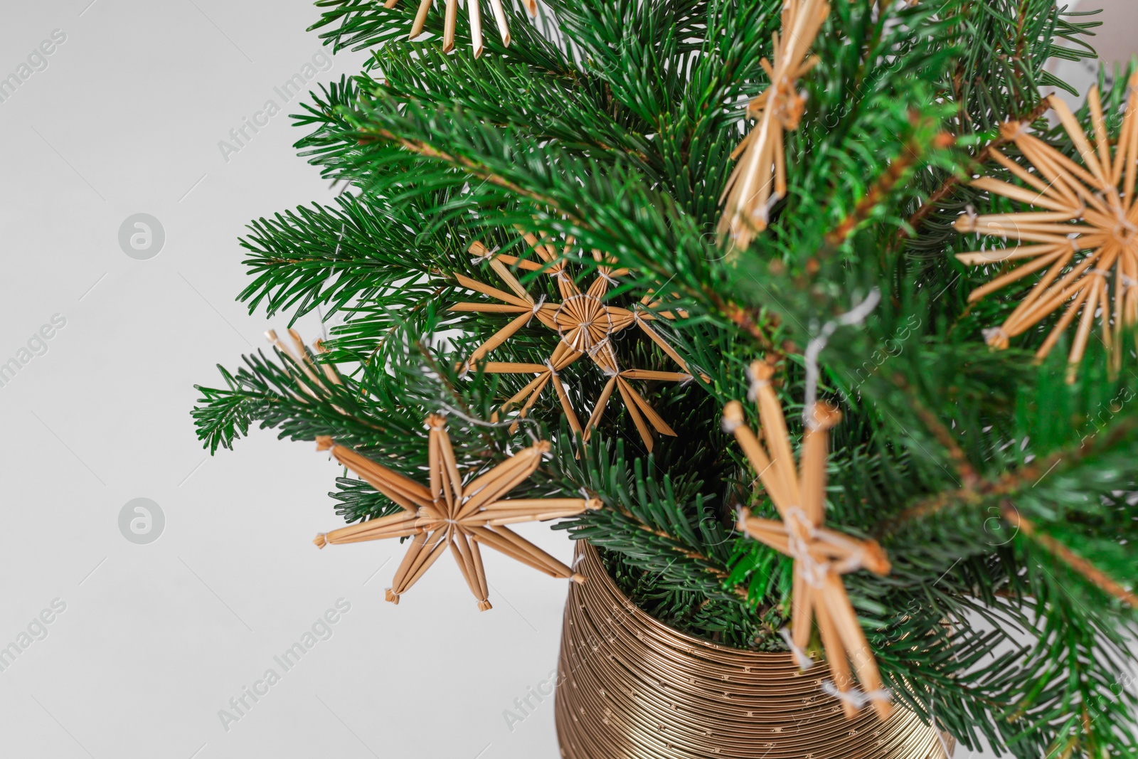 Photo of Beautiful Christmas composition of decorated fir tree branches in vase on light background, closeup