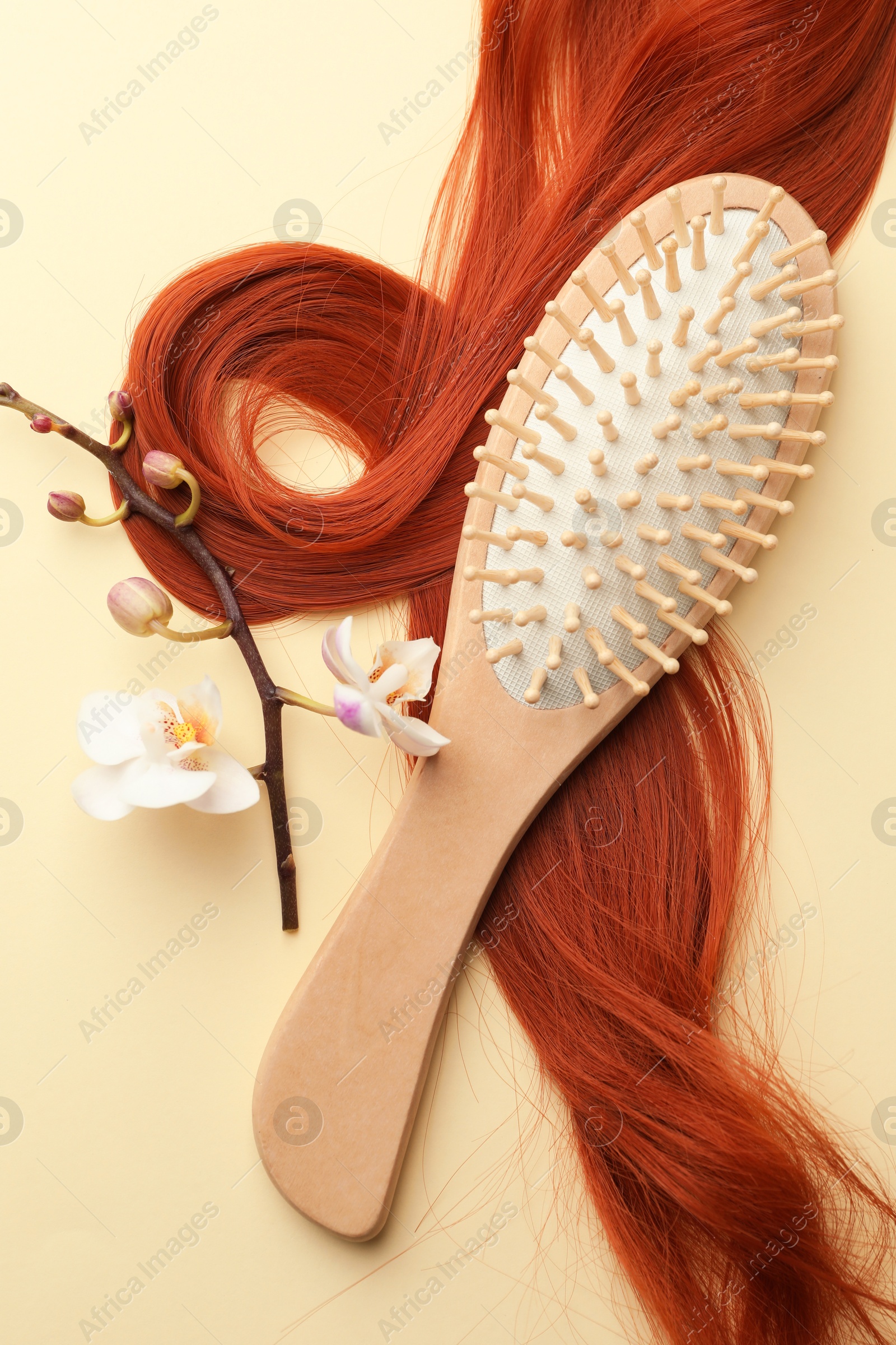 Photo of Wooden brush, orchid branch and lock of hair on beige background, flat lay