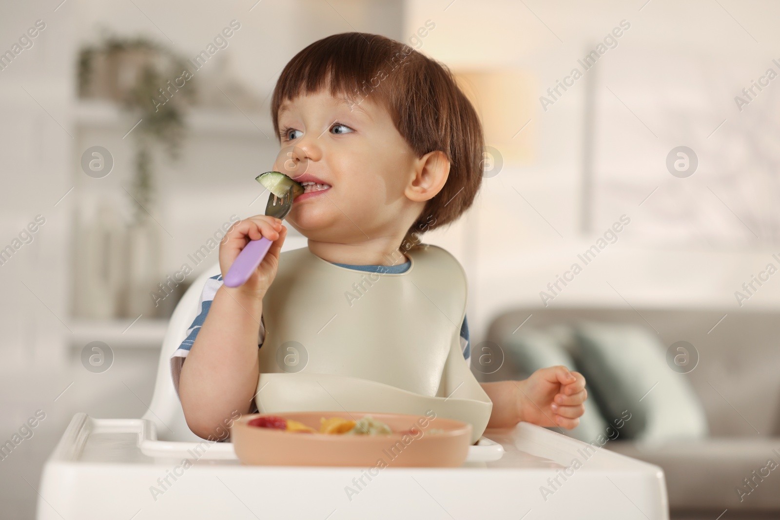 Photo of Cute little boy eating cucumber in high chair at home