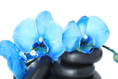 Photo of Beautiful blue orchid flowers and spa stones isolated on white