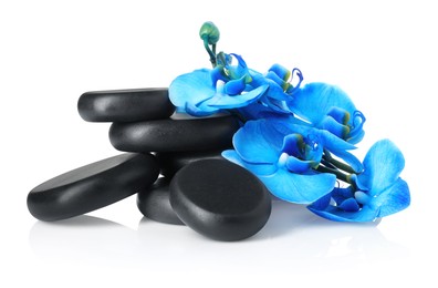 Photo of Beautiful blue orchid flowers and spa stones isolated on white