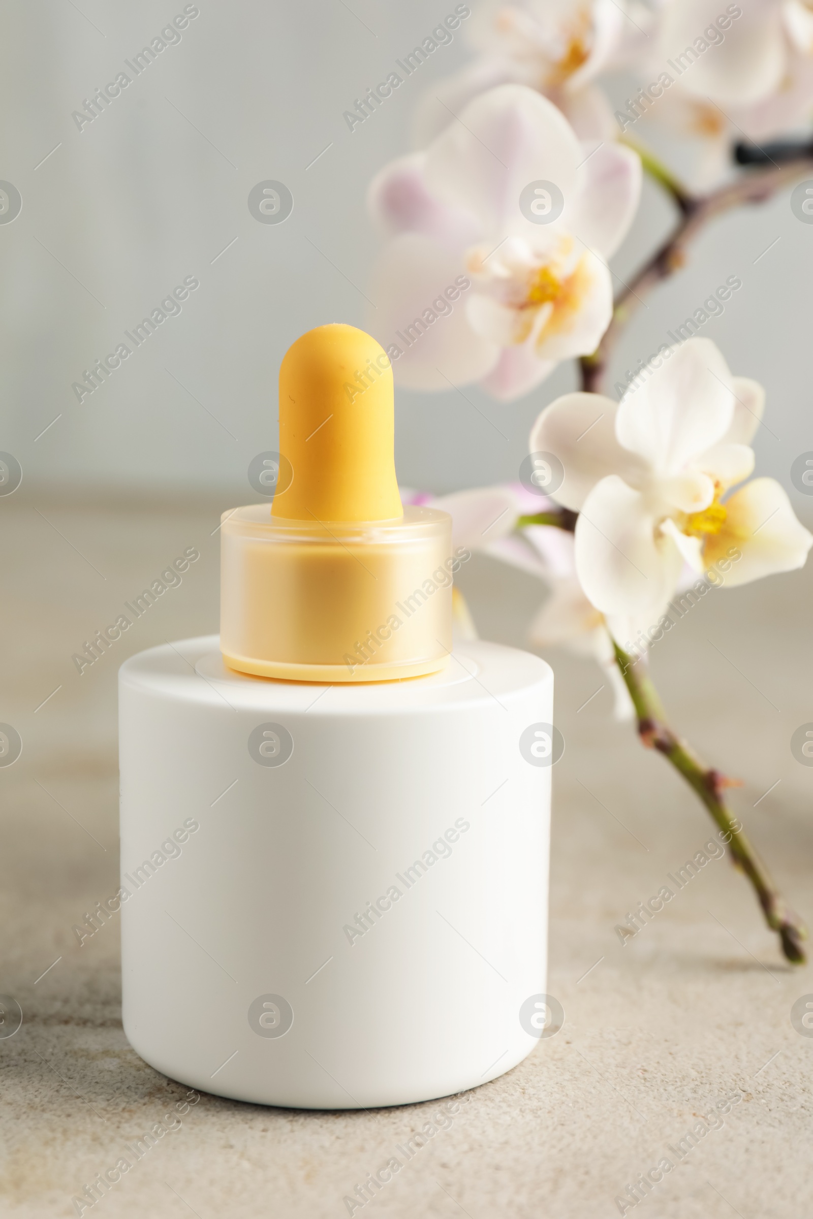 Photo of Bottle of skin care product and orchid flowers on gray textured surface