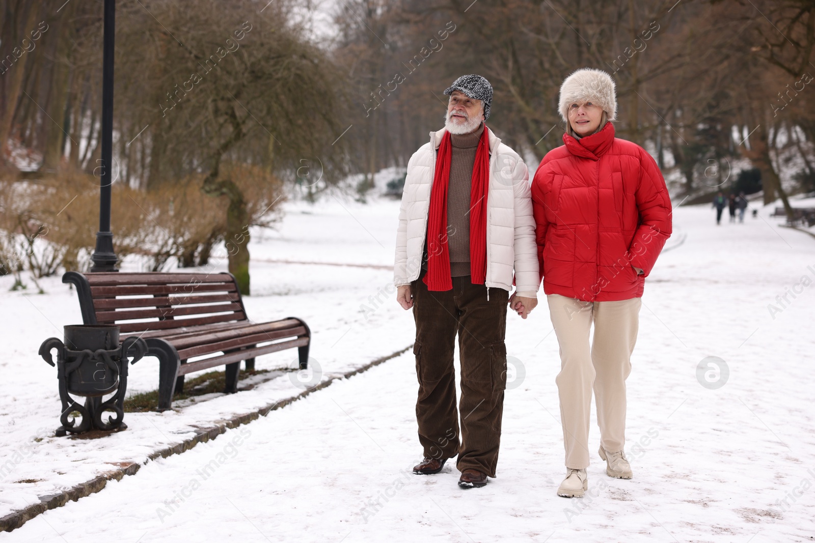 Photo of Happy senior couple walking at winter park