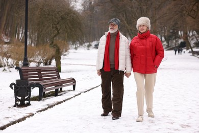 Photo of Happy senior couple walking at winter park