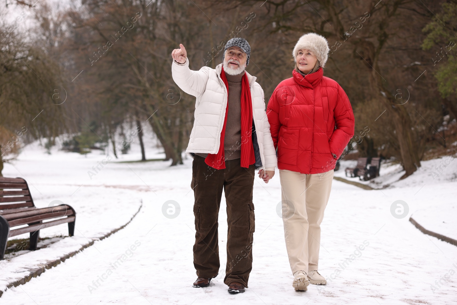 Photo of Happy senior couple walking at winter park