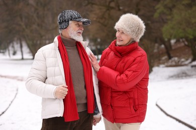 Photo of Happy senior couple walking at winter park