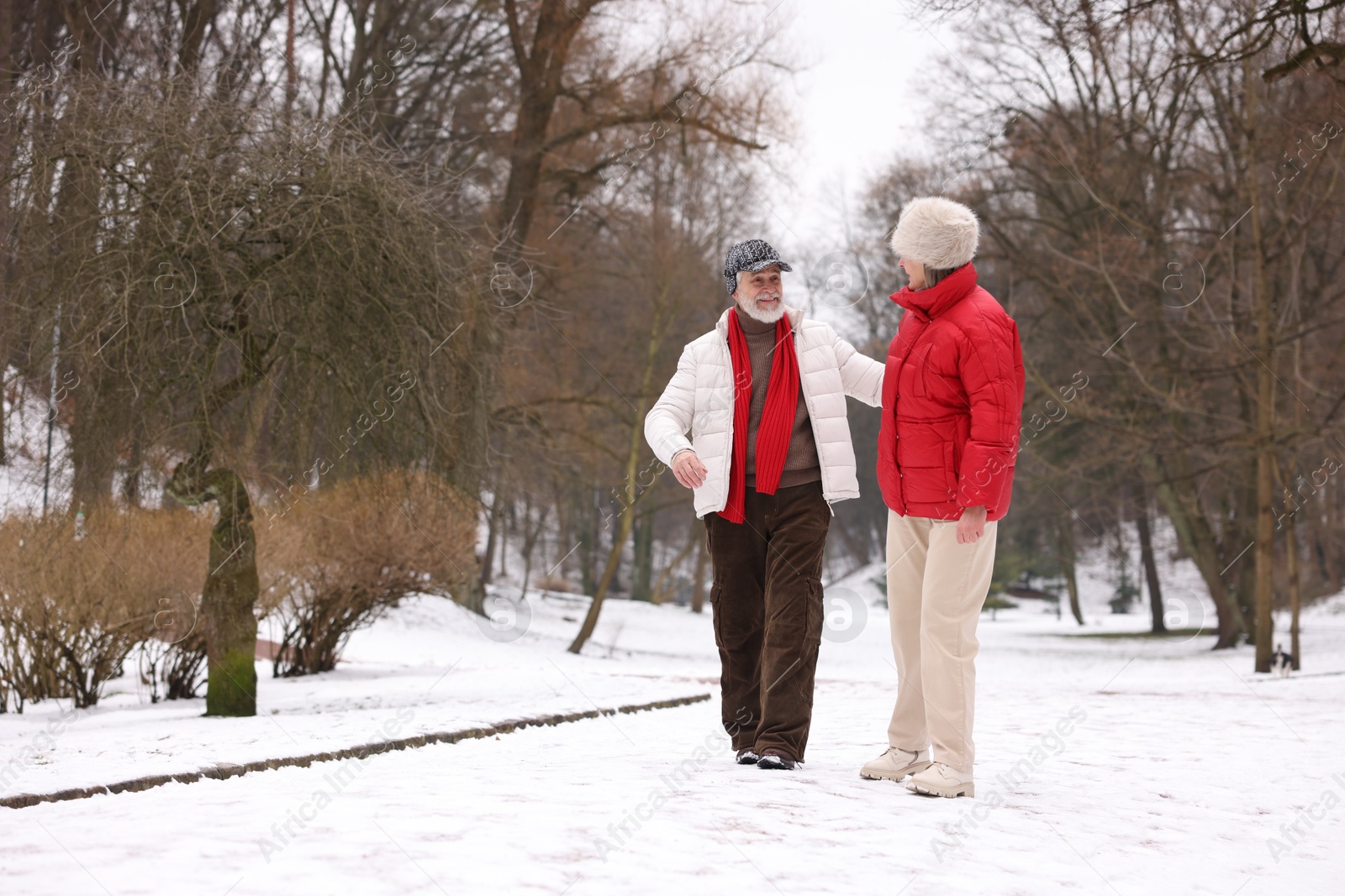 Photo of Happy senior couple walking in winter park. Space for text